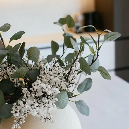 アパート Heated Pool Kalega スプリト