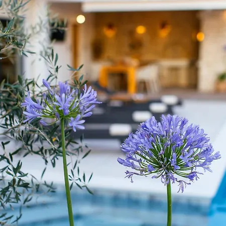 Heated Pool Kalega *